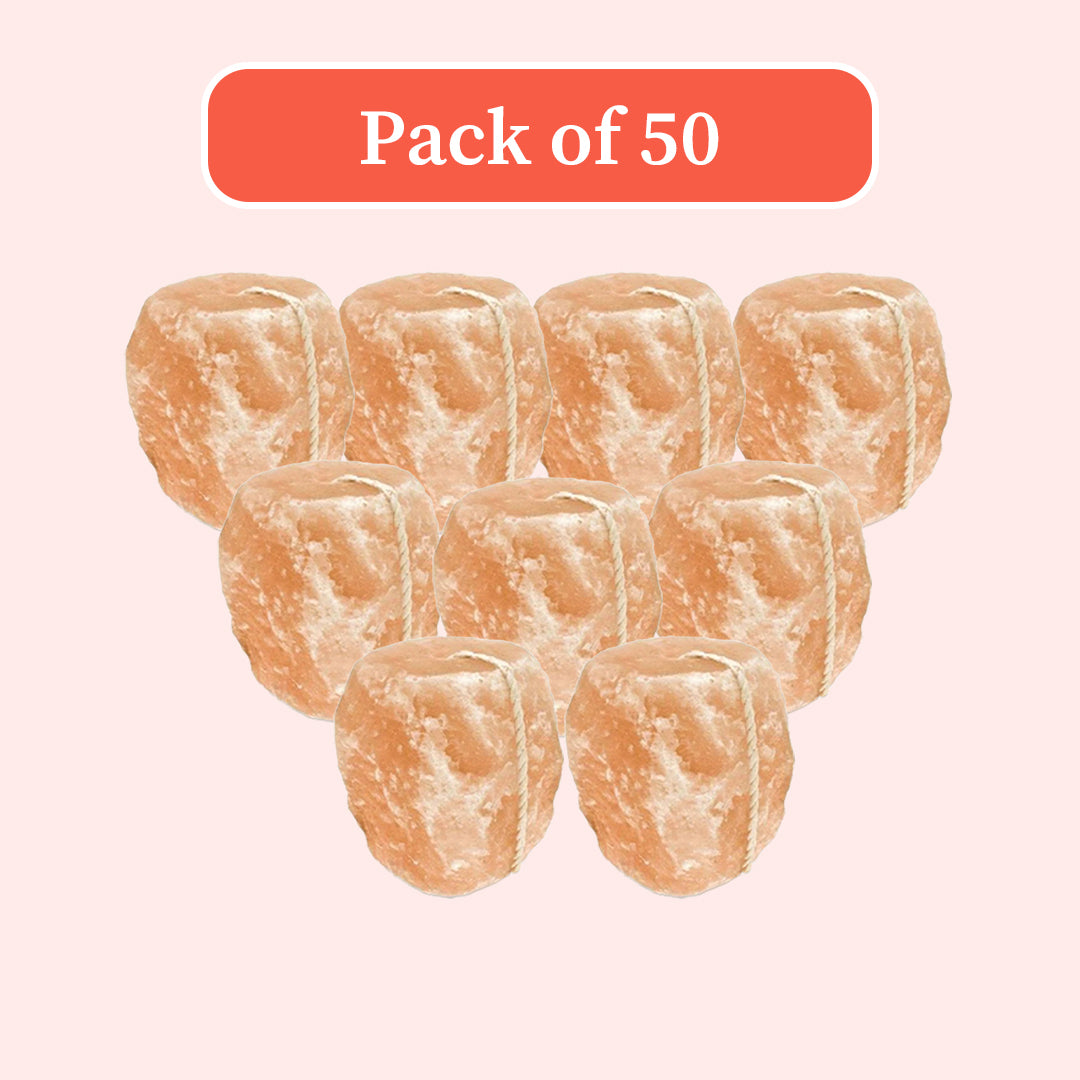 Bulk animal salt lick blocks for livestock and wildlife, pack of 50